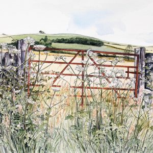 Field Gate, July