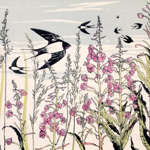 July Swallows