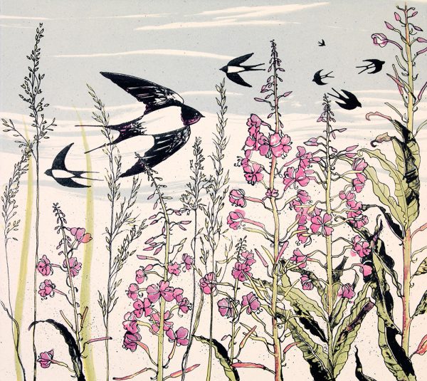 July Swallows