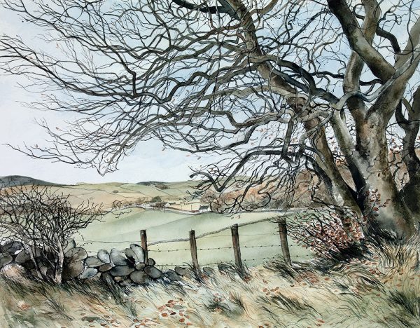 Over the Fields, Winter