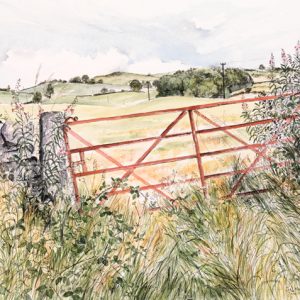 Field Gate, August