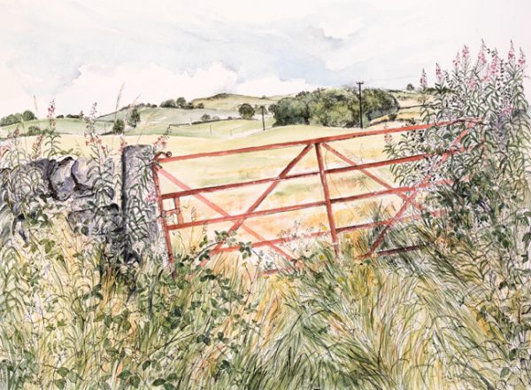 Field Gate, August