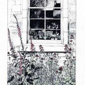 Foxgloves & Valerian