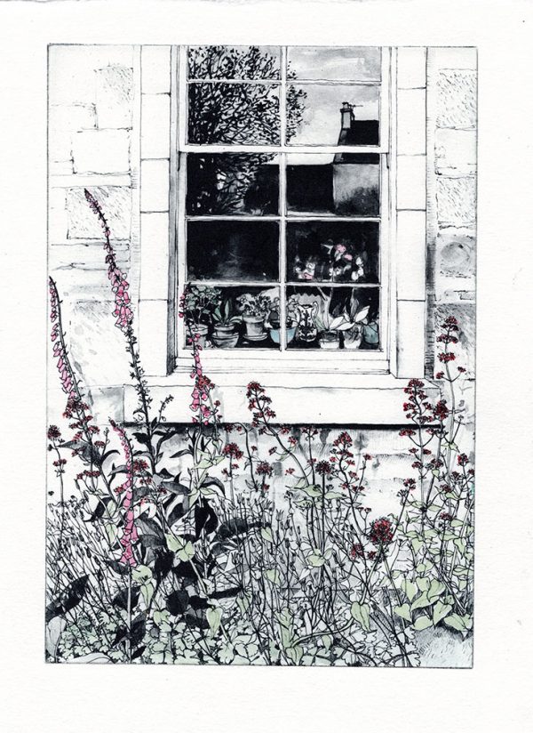 Foxgloves & Valerian