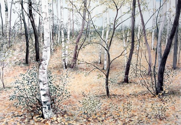 November Birches