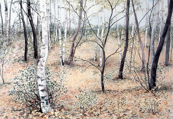 November Birches