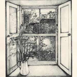 Summer Window